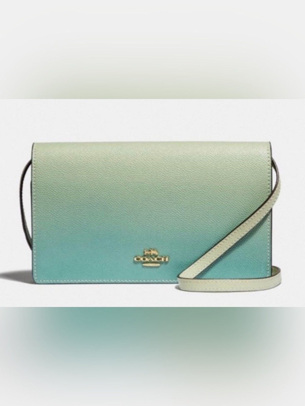 Coach Hayden Ombré Crossbody/Clutch Bag